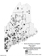 Northern Dusky Salamander distribution map (PDF)